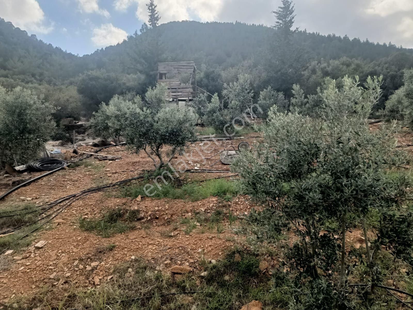 Aydıncık Emlaktan Satılık Tarla 1316m2 - Görsel 14