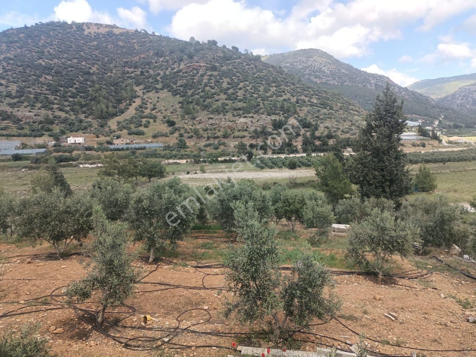 Aydıncık Emlaktan Satılık Tarla 1316m2 - Görsel 8