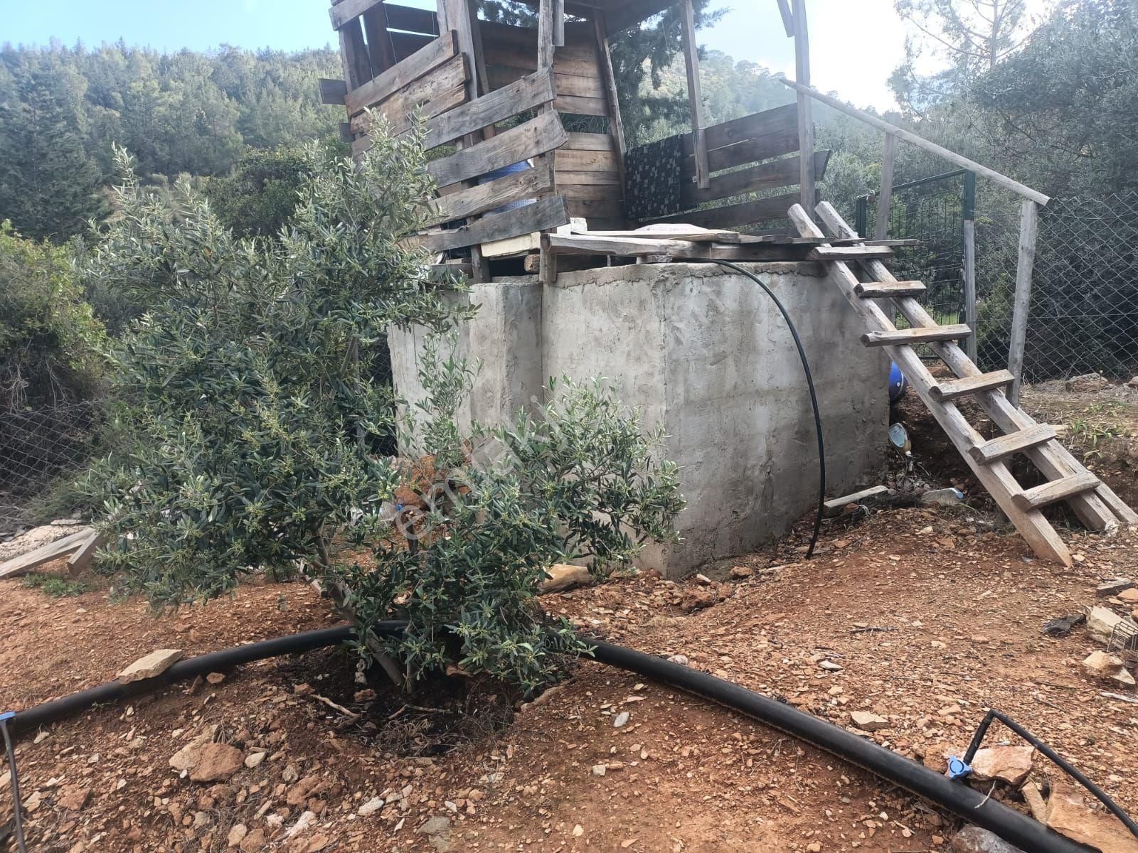 Aydıncık Emlaktan Satılık Tarla 1316m2 - Görsel 22