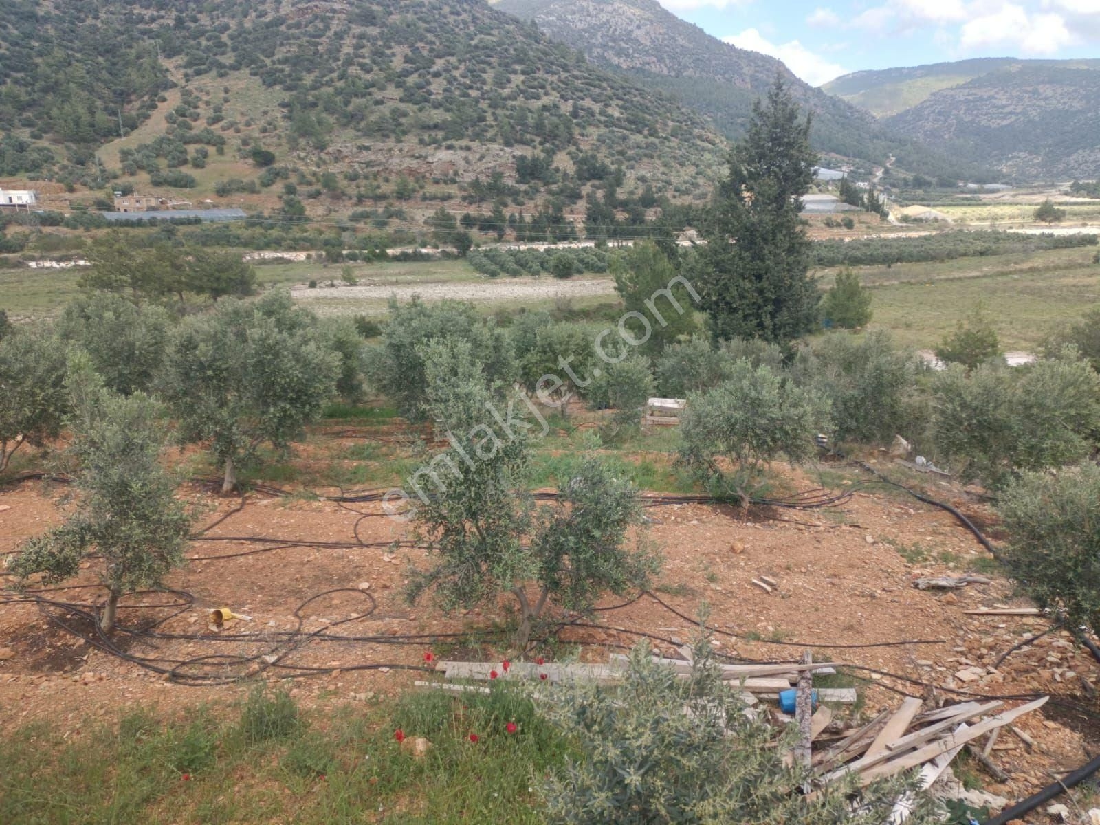 Aydıncık Emlaktan Satılık Tarla 1316m2 - Görsel 7