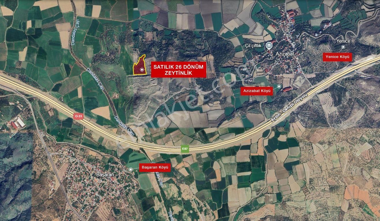 Kuyucak Başaran Mahallesinde 26 Dönüm Satılık Zeytinlik - Görsel 20