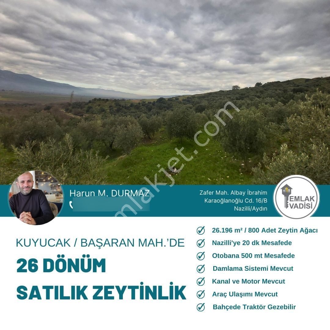 Kuyucak Başaran Mahallesinde 26 Dönüm Satılık Zeytinlik - Görsel 23