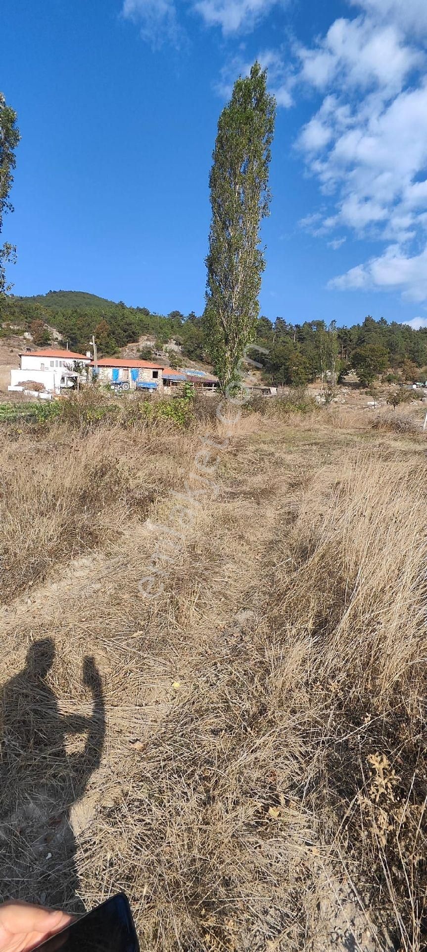 Sındırgı Yüreğil Satılık Tarla Ege Bölgesinin Gelişim Yerinden Yatırımlık Fırsat Tarlalar