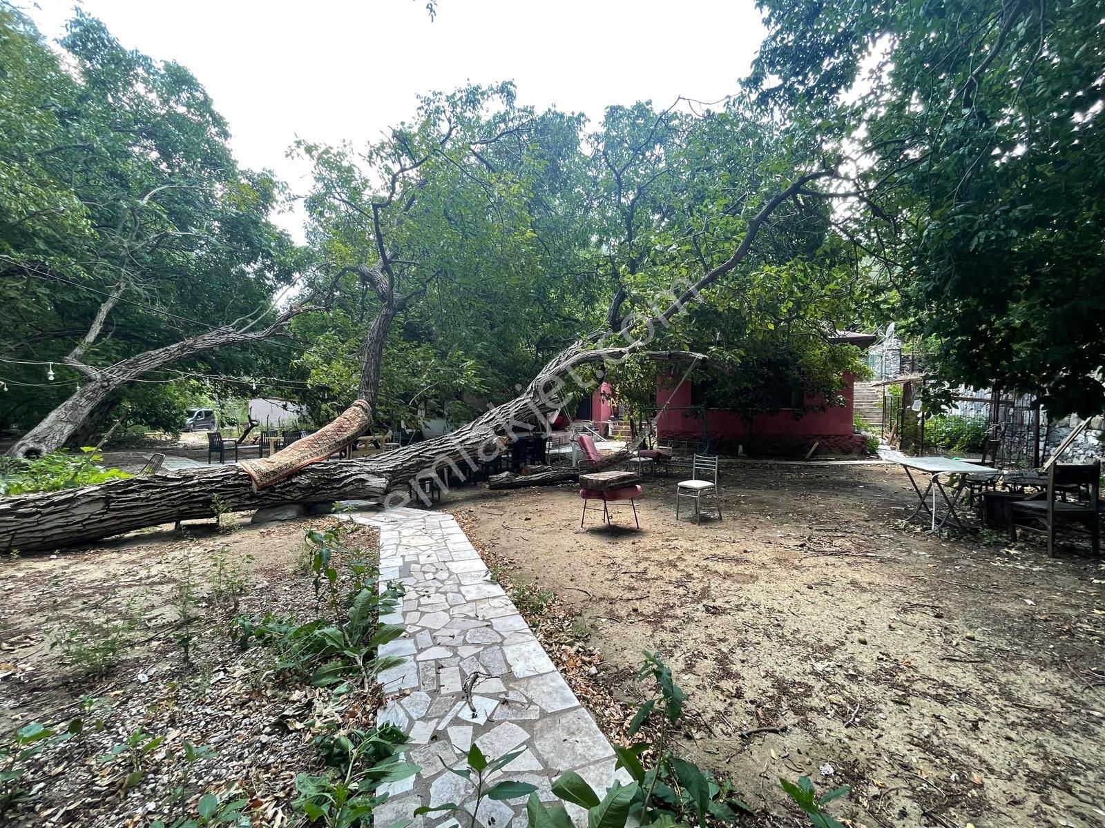 Poyraz Gayrimenkul'den İmar Sınırında Yatırımlık Hobi Bahçesi(işletmeye Uygun) - Görsel 6
