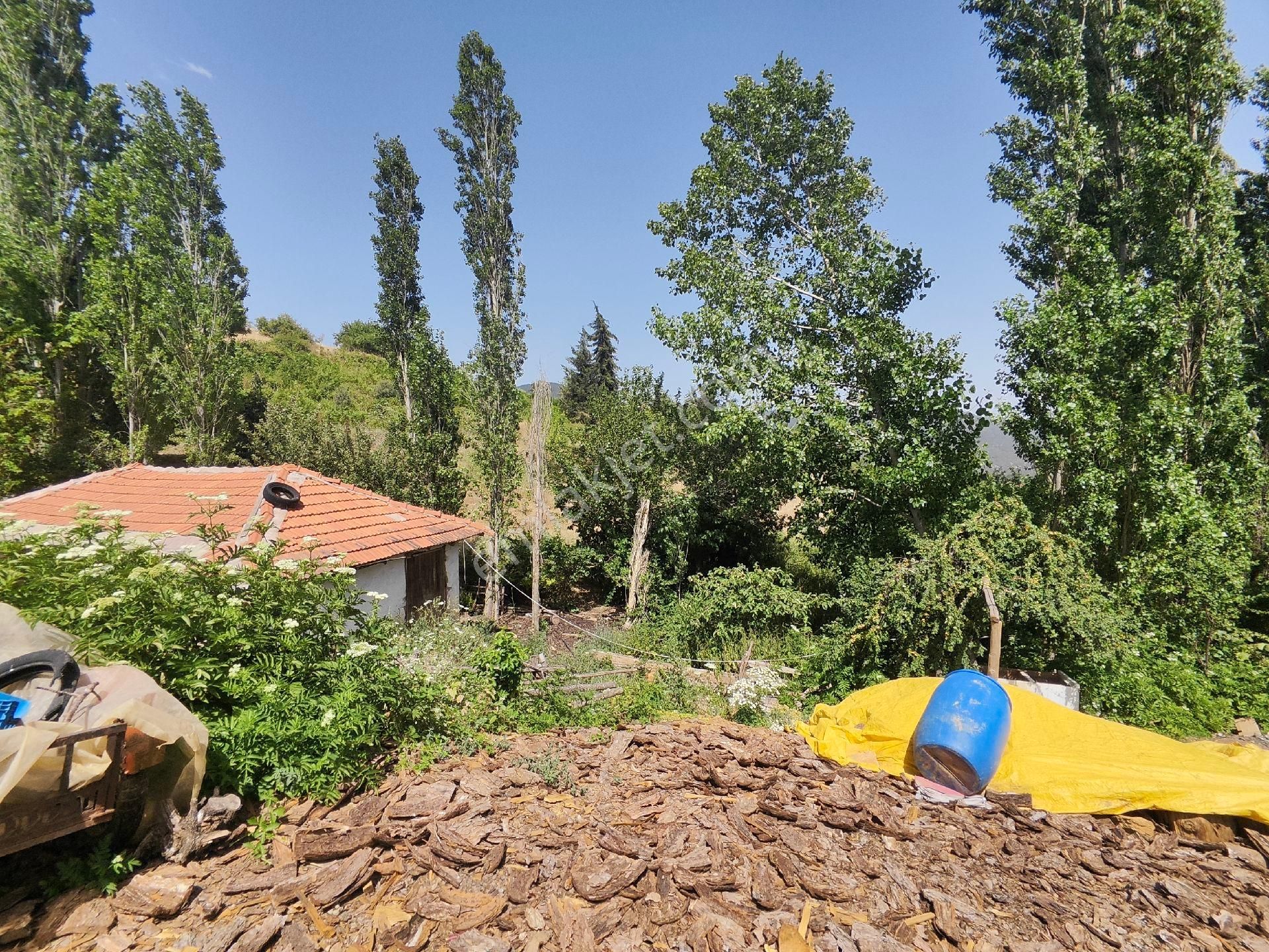 Sındırgı Yüreğil Satılık Tarla Atölye'den Sındırgı Yüreğil Merkezde 4831 M2 Muazzam Tarla Ve Dam