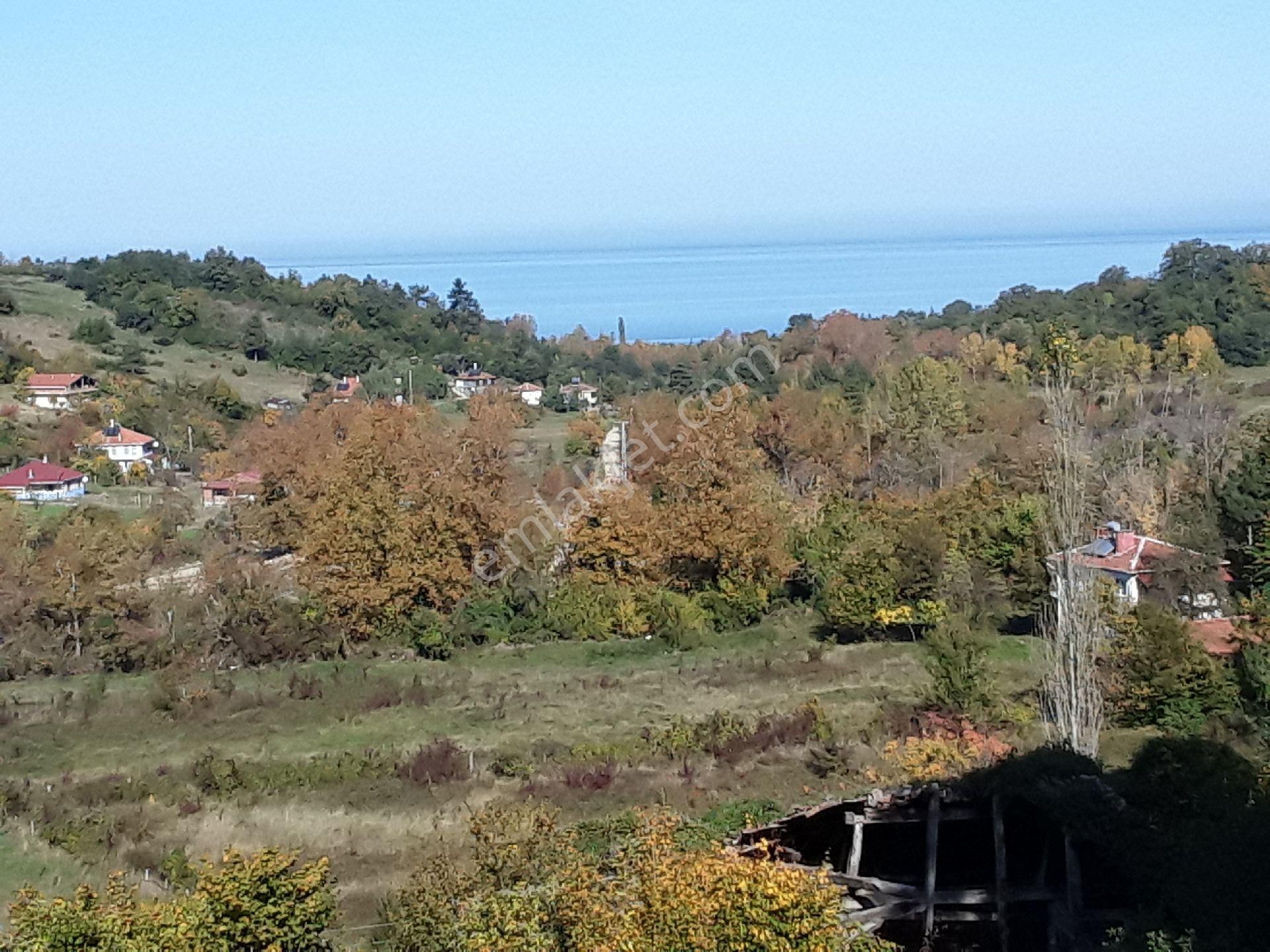 Müstakil Konut - Görsel 23