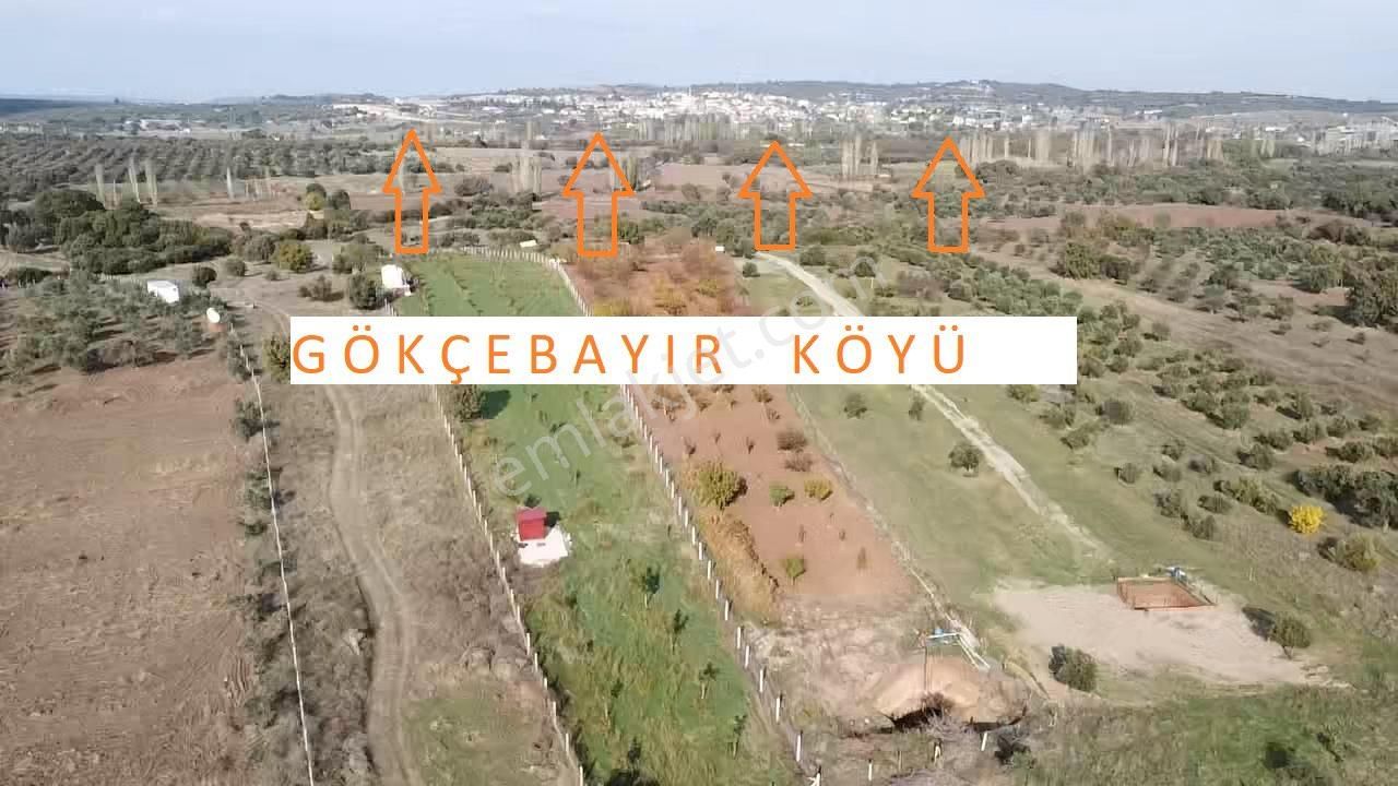 Ezine Gökçebayır Köyü Satılık Tarla VADİ”DEN PANORAMİK DENİZ MANZARALI CEVİZ BAHÇESİ