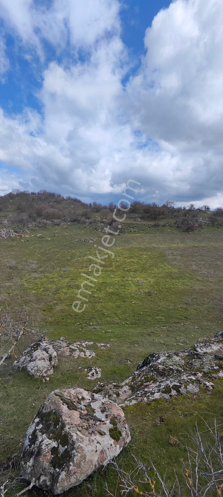 Sındırgı Süller Satılık Tarla Atölye'den Balıkesir Sındırgı Süllerde Yatırımlık Arazi