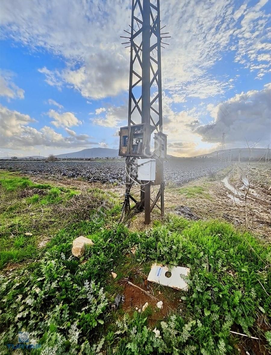 Torbalı Özbey Satılık Tarla Torbalı Turyap Tan Özbeyde 6650m2 Elktrk Su Merkeze 2.5 Km