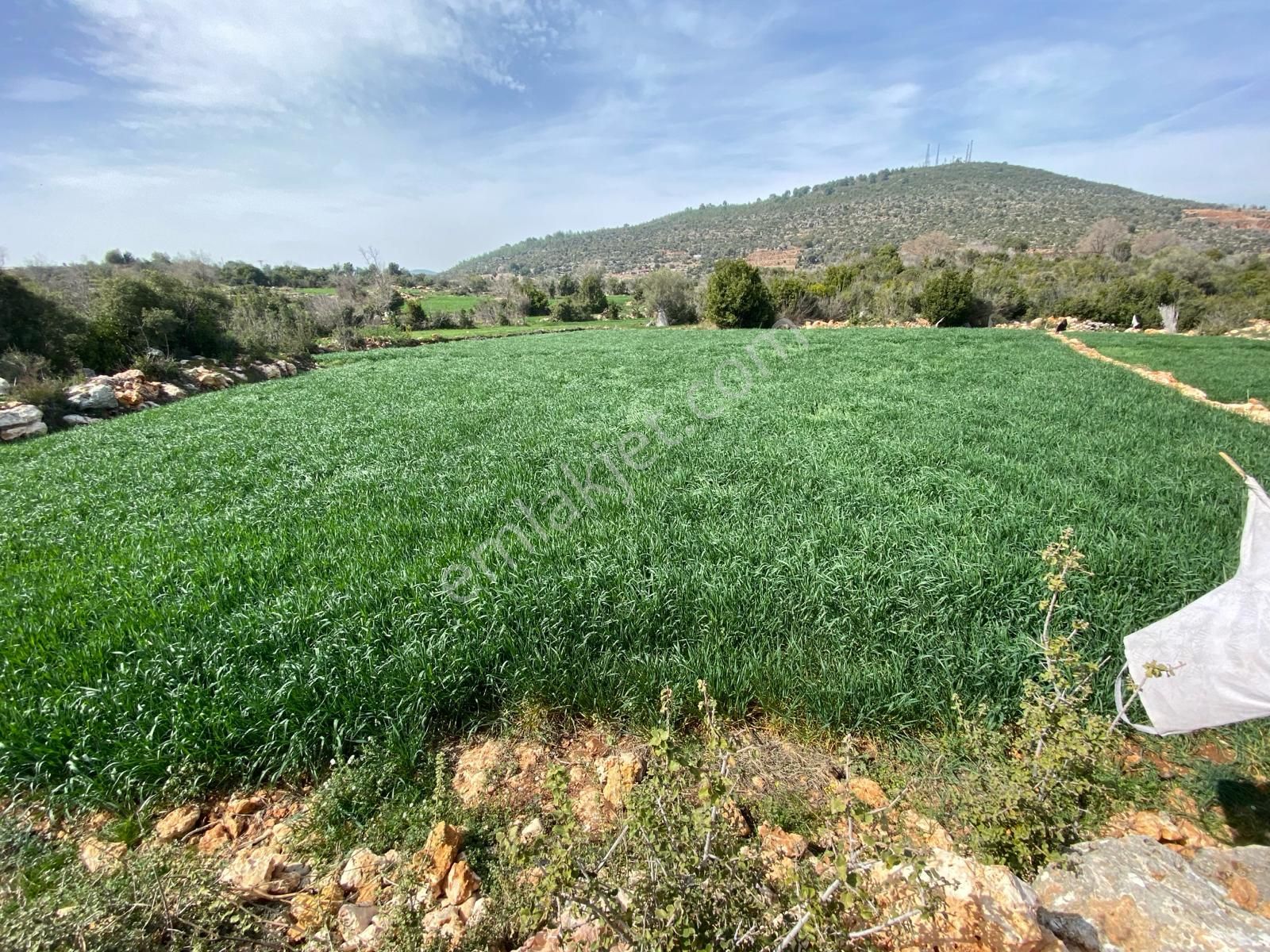 Erdemli Batısandal Satılık Arazi Yatırımlık Değerli Arsa