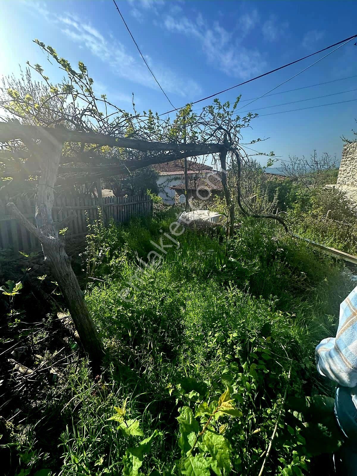 Çanakkale Taştepe Köyünde Satılık Müstakil Köy Evi - Görsel 9