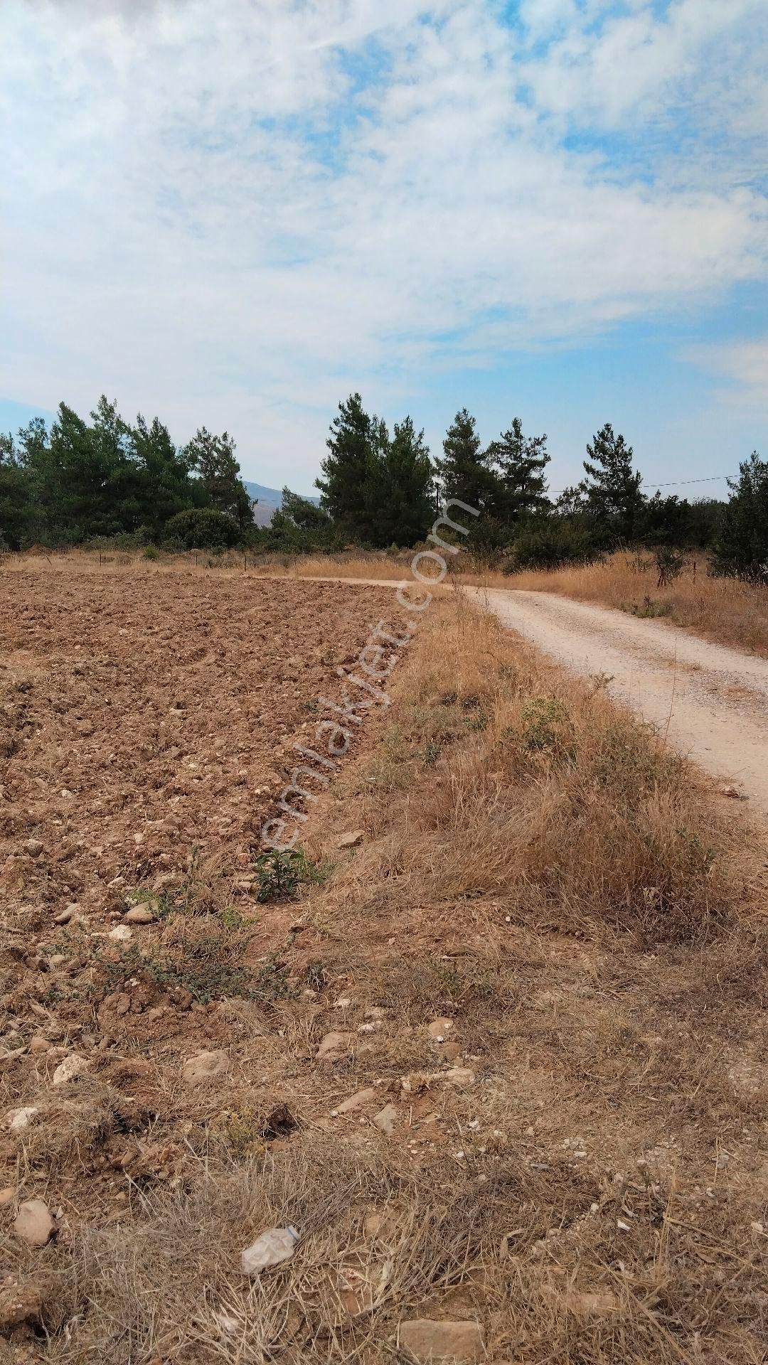 Milas Karapınar Satılık Tarla Milas Karapınar Mahallesi'nde satılık tarla