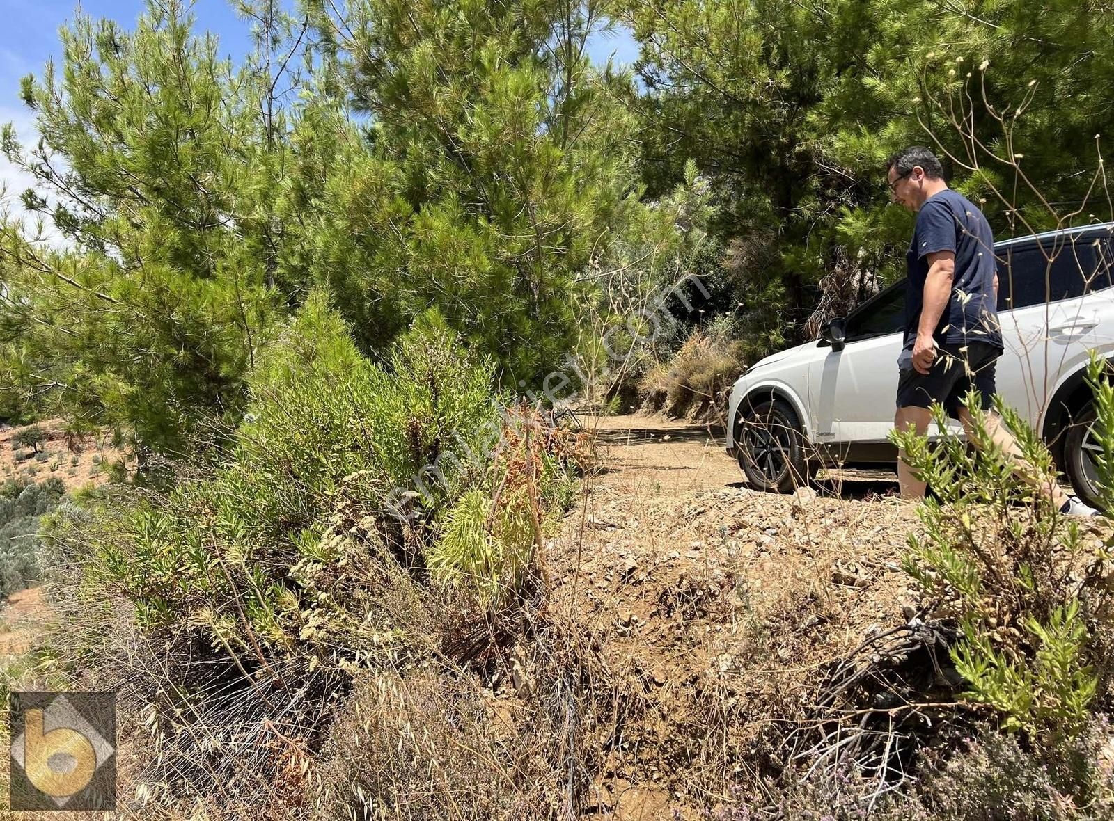 Fethiye Gökçeovacık Ta Satılık 1006 Müstakil Tarla - Görsel 4