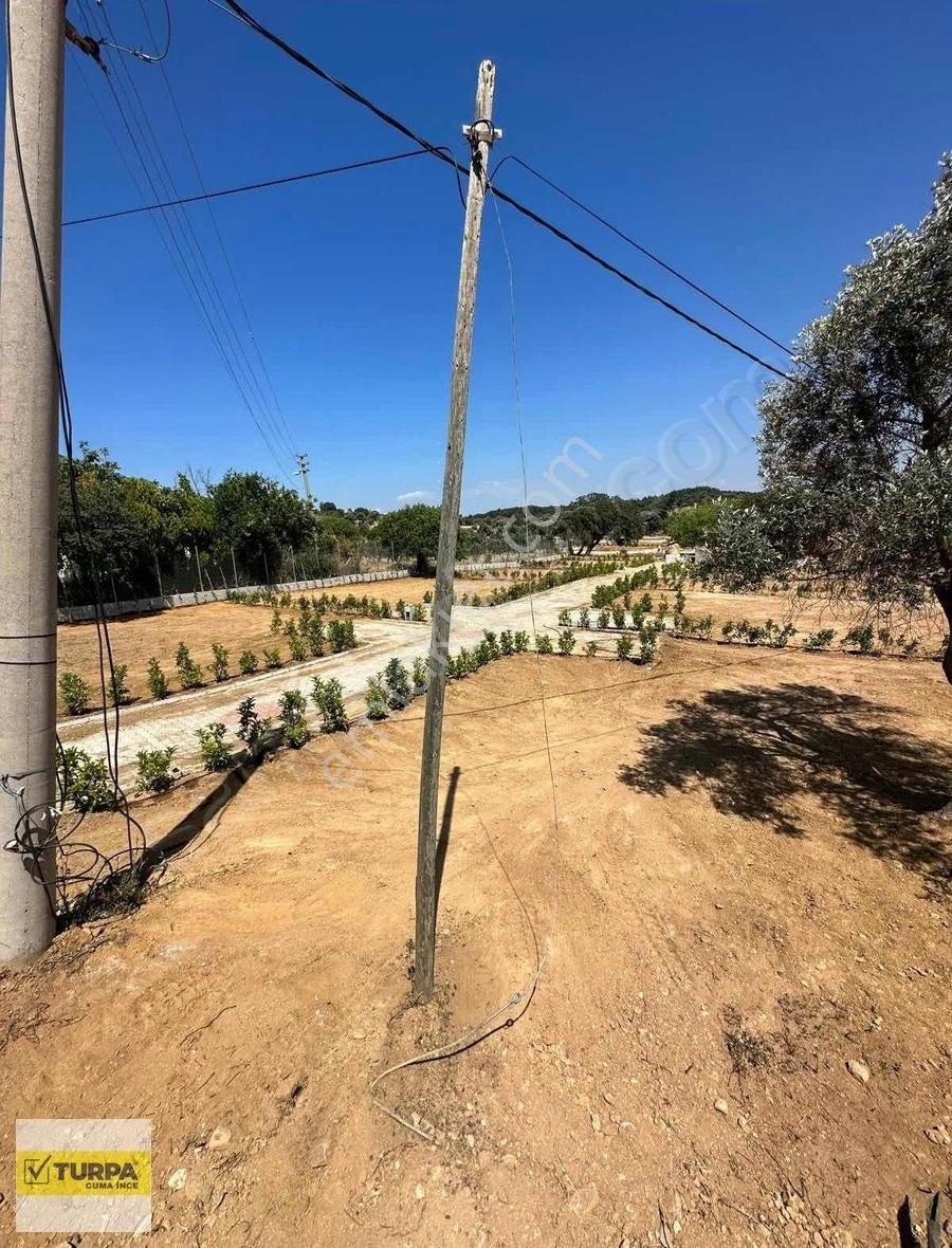 Urla'da Resmî Hisse Tapulu 282 M2 Tiny Hause Bahçeleri - Görsel 24
