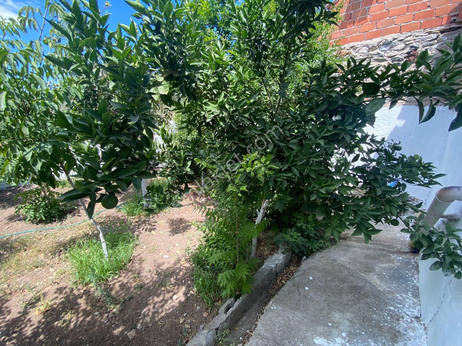 Sabri Pınarbaşı'dan Avcılar'da Satılık Müstakil Ev - Görsel 4