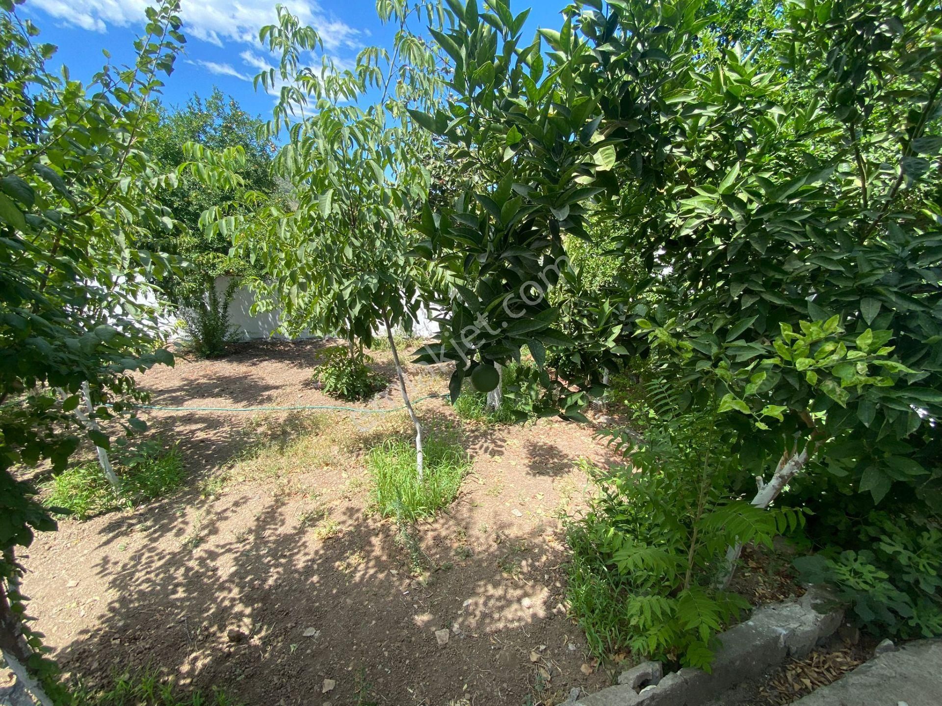 Sabri Pınarbaşı'dan Avcılar'da Satılık Müstakil Ev - Görsel 3