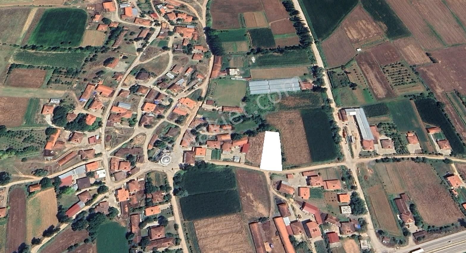 Tokat Merkez Söngüt Köyü Satılık Tarla 📍 VADİ EMLAK'TAN TOKAT MERKEZ SÖNGÜT KÖYÜ'NDE SATILIK 1178 M² SATILIK TARLA! 🌳