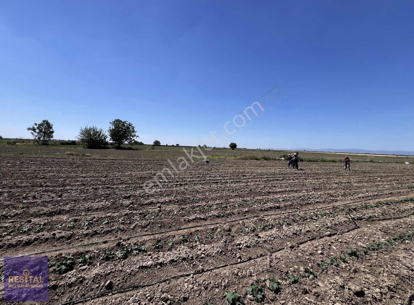 Mustafakemalpaşa Yumurcaklı Satılık Tarla MUSTAFAKEMALPAŞA YUMURCAKLI'DA KÖYE 100 MT MESAFEDE TARLA