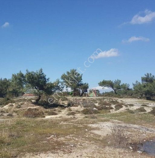 Çeşme Alaçatı Satılık Restaurant Eski İzmir Yolunda Satılık Restoran