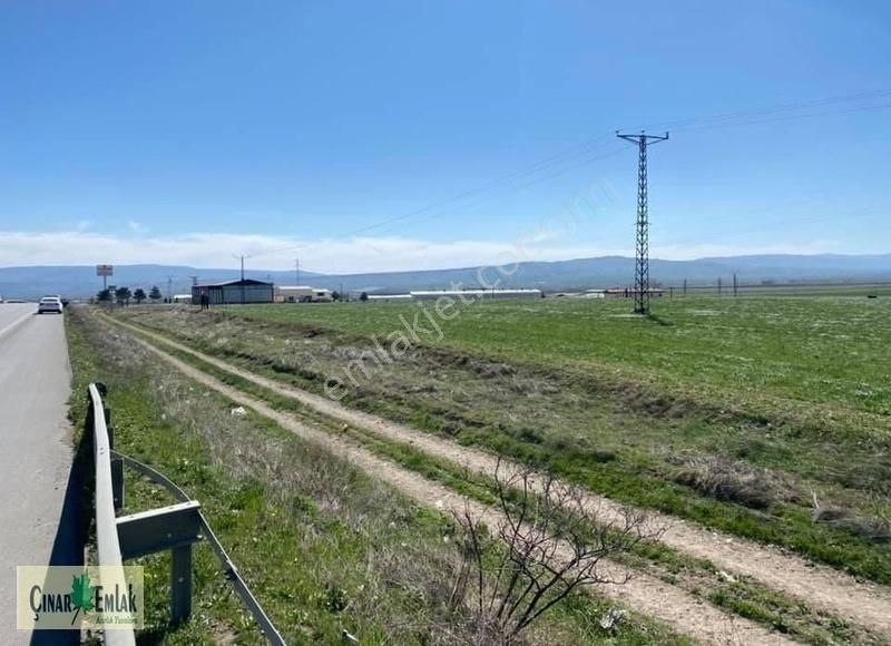 Merzifon Sazlıca Köyü Satılık Tarla ÇINAR EMLAK'TAN ANKARA ASFALTI ÜZERİNDE SATILIK ARAZİ