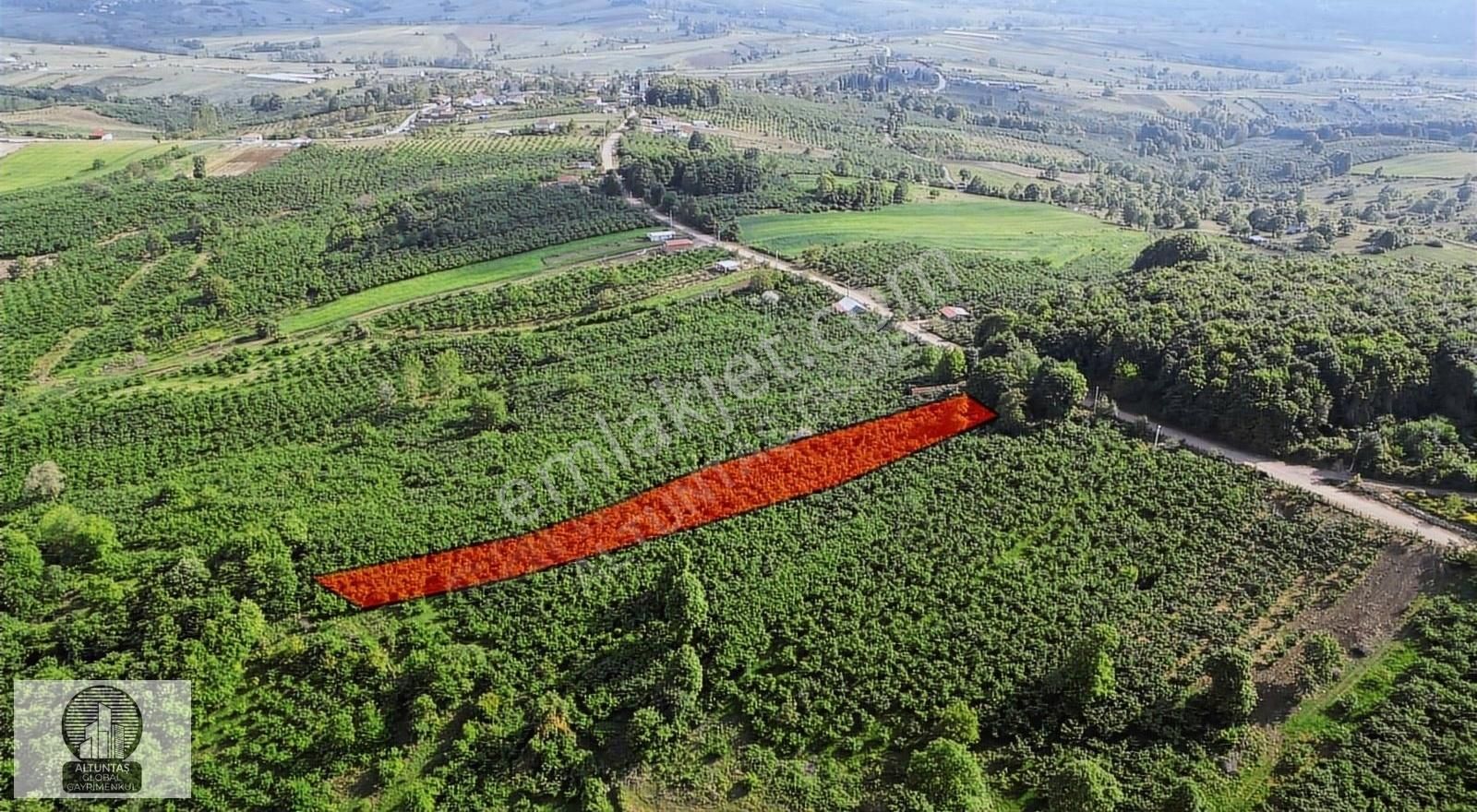 Kandıra Eğercili Satılık Tarla KANDIRA EĞERCİLİ'DE DOĞA MANZARALI YOLLU 1.874 M2 SATILIK TARLA!