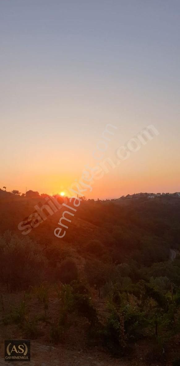 As Gyd.seferihisar Gödence'de Köy İçinde Ruhsatlı Ev Olan Arazi - Görsel 20