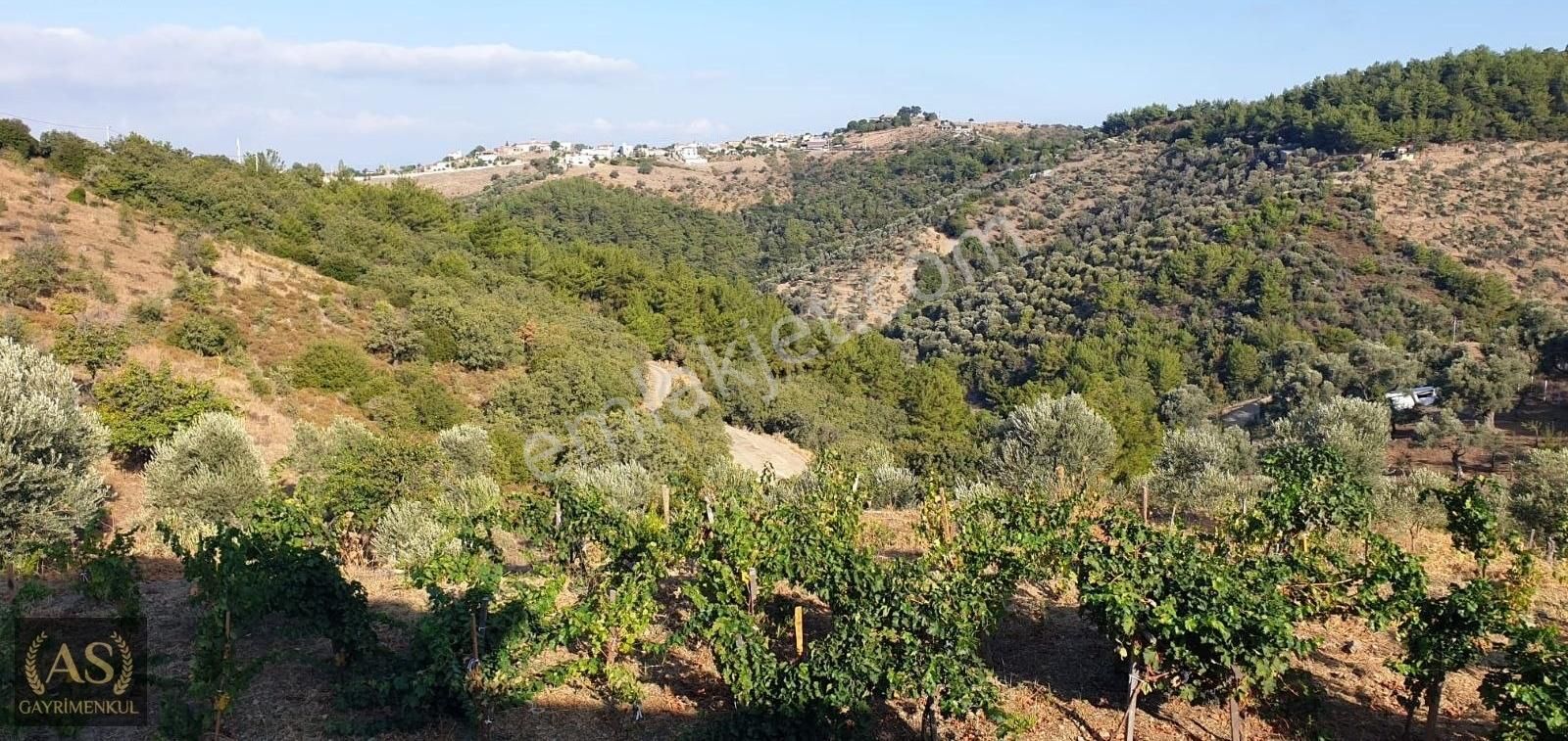 As Gyd.seferihisar Gödence'de Köy İçinde Ruhsatlı Ev Olan Arazi - Görsel 22