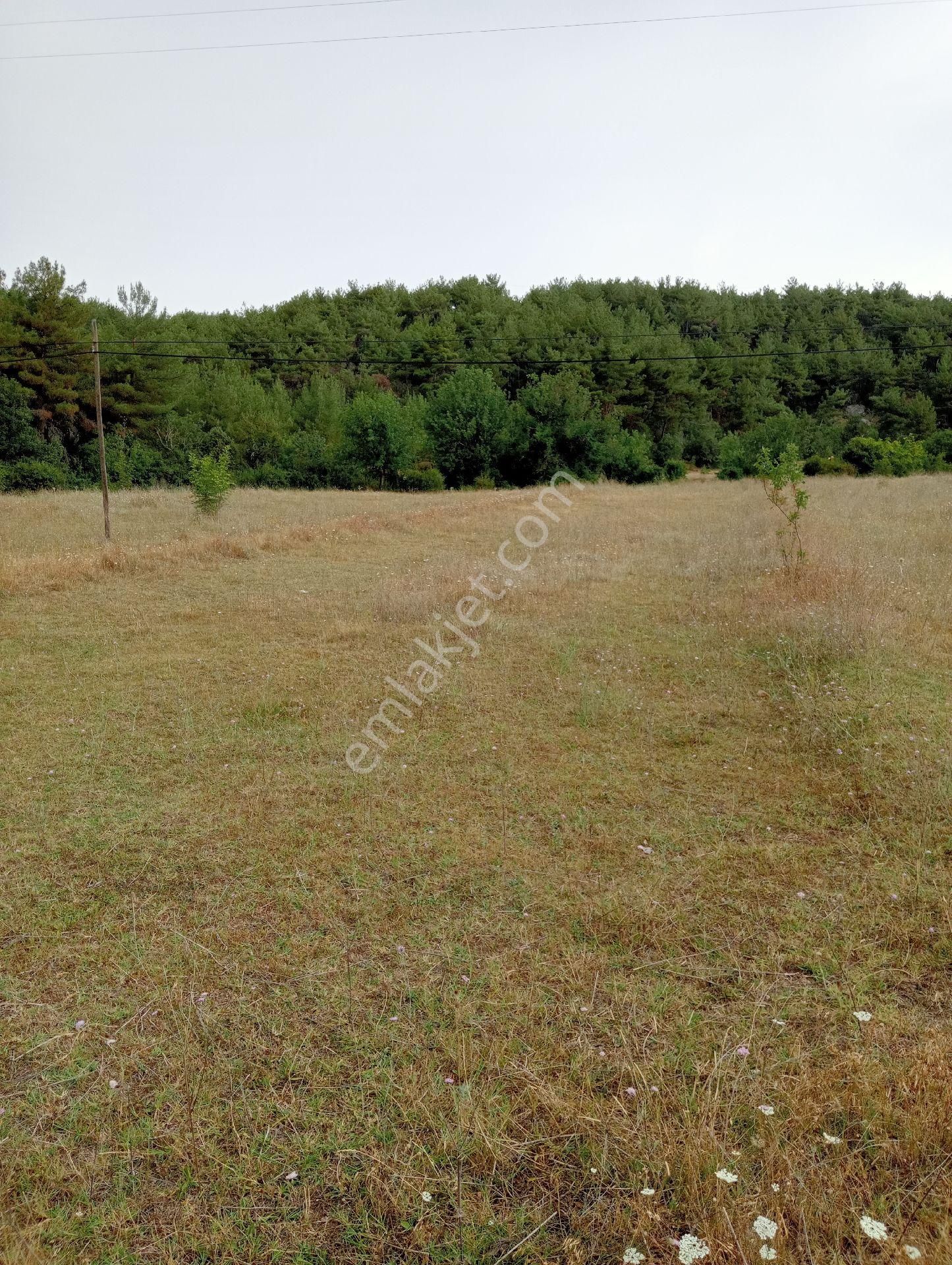 Araç Akgeçit Köyü (Karasu) Satılık Tarla Kastamonu Araç İlçesi İğdir Akgeçit Mevkiinde Satılık 1013 M2 Tarla Satılıktır