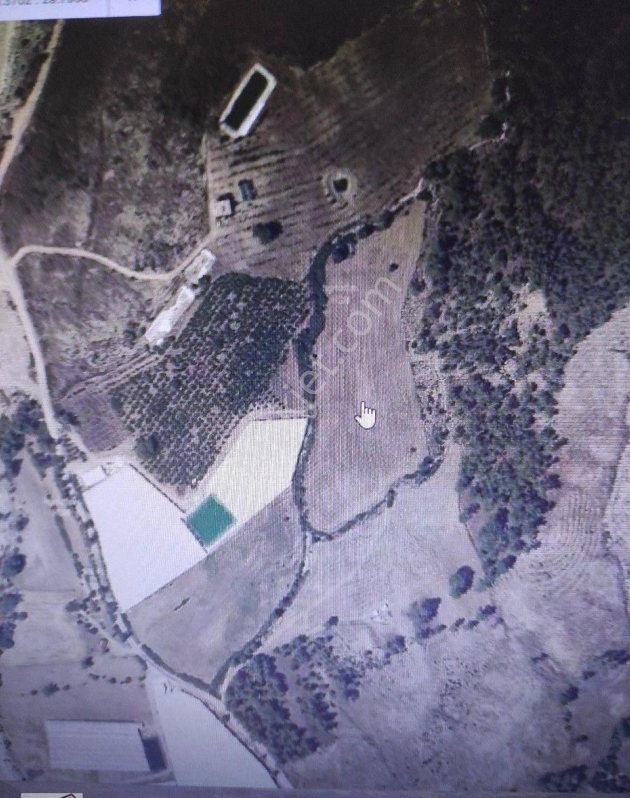 Antalya Kaş Dirgenler Koyunde Satılık 39880metre Kare Tarla Su Yol Elk Sorunu Yok - Görsel 5