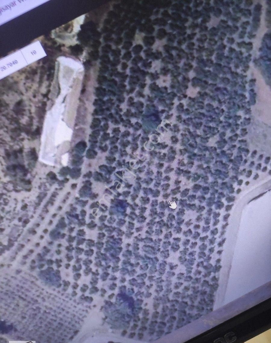 Antalya Kaş Dirgenler Koyunde Satılık 39880metre Kare Tarla Su Yol Elk Sorunu Yok - Görsel 2