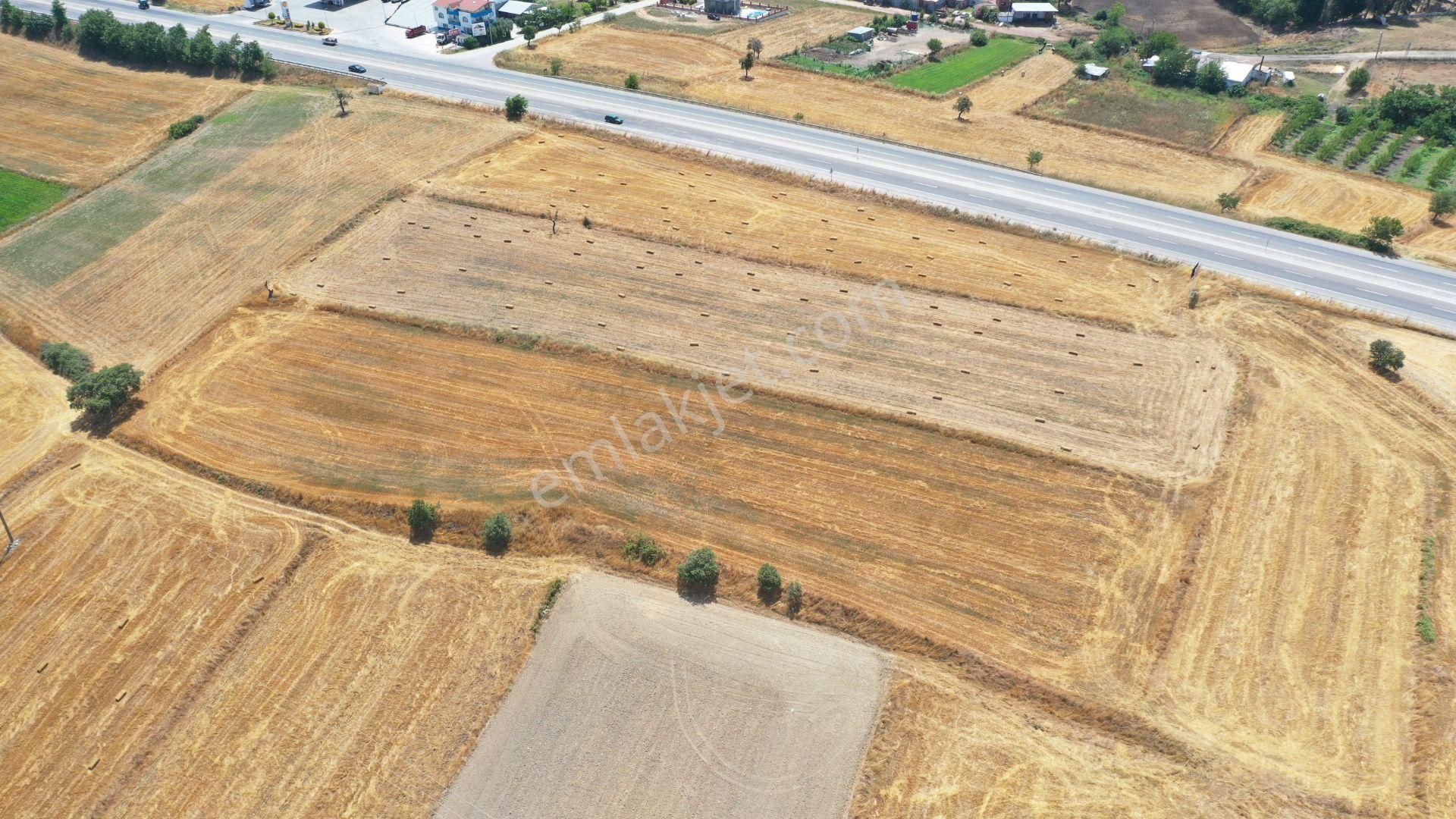 Biga Şirinköy Köyü Satılık Tarla  ÇANAKKALE BİGA ŞİRİNKÖY 6.074 M2 YATIRIMLIK TARLA