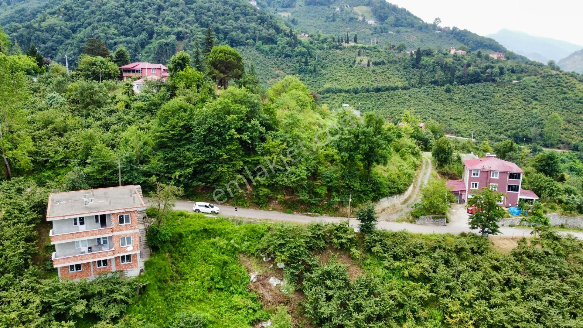 Ortahisar Yeşilbük Satılık Bağ & Bahçe Ortahisar Yeşilbük Mahallesinde Satılık Arazi