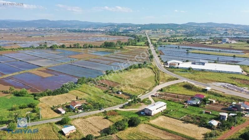 Biga Şirinköy Köyü Satılık Bağ & Bahçe ÇANAKKALE BİGA GÜLEÇKÖY 549 M2 SATILIK YATIRIMLIK BAĞ YERİ 