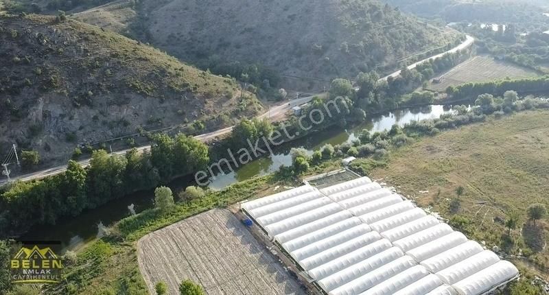 Söğüt Kayabalı Köyü Satılık Bağ & Bahçe Sakarya Nehri'ne Sıfır Arazimiz