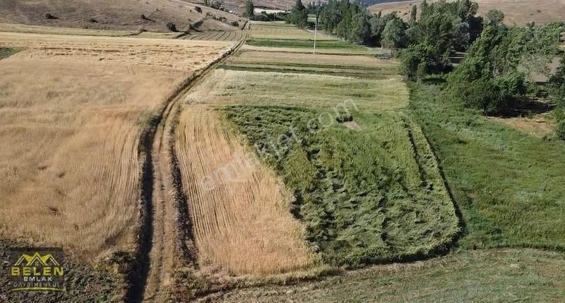 Söğüt Yeşilyurt Köyü Satılık Tarla Resmi Yollu Köye Yürüme Mesafesinde Yatırımlık Yerimiz