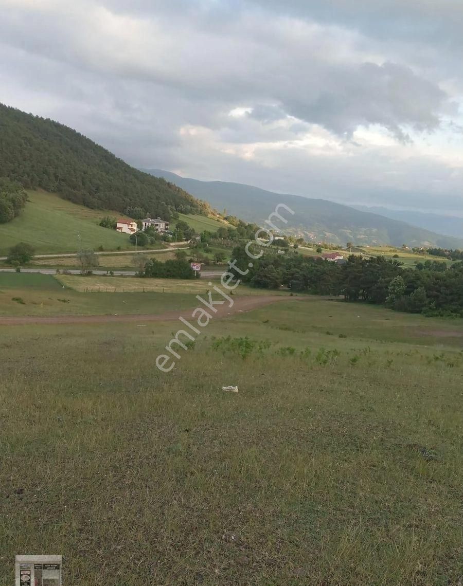 Niksar Ardıçlı Köyü (Merkez) Satılık Konut İmarlı TOKAT NİKSAR KORKMAZ EMLAK’TAN ÇAMİÇİ YAYLASINDA SÜPER MANZARALI SATILIK ARSA