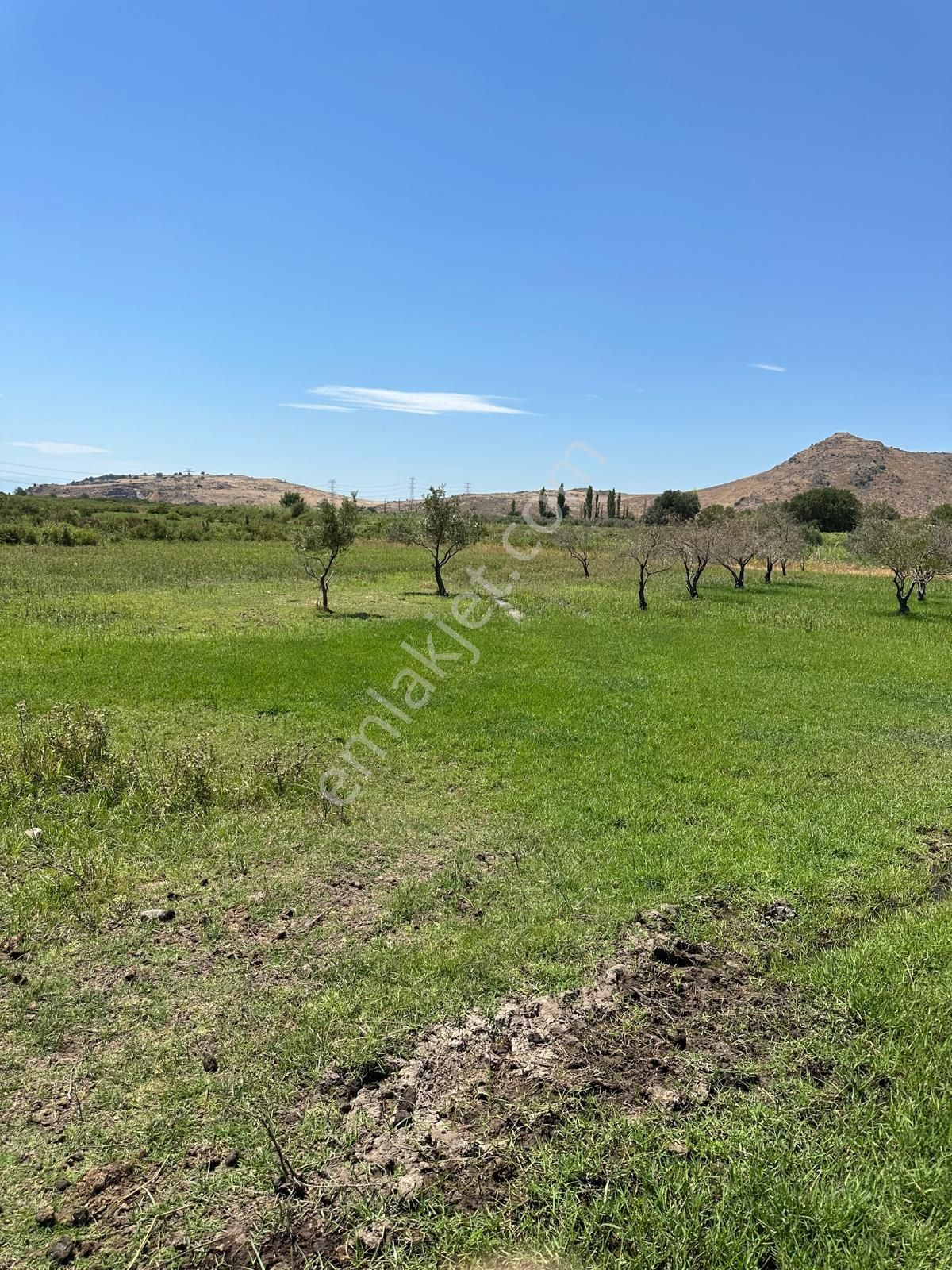 300 Dönüm Meraya Sınır Hayvancılığa Uygun - Görsel 5