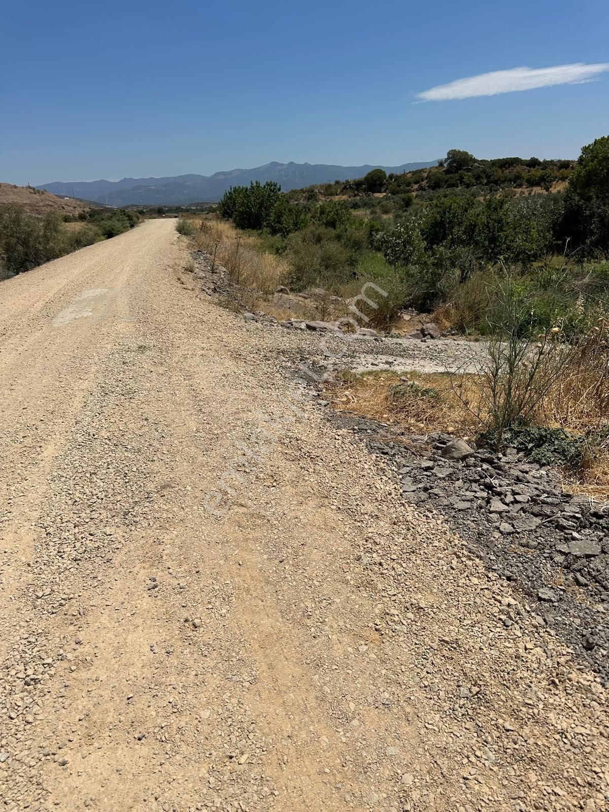 300 Dönüm Meraya Sınır Hayvancılığa Uygun - Görsel 7