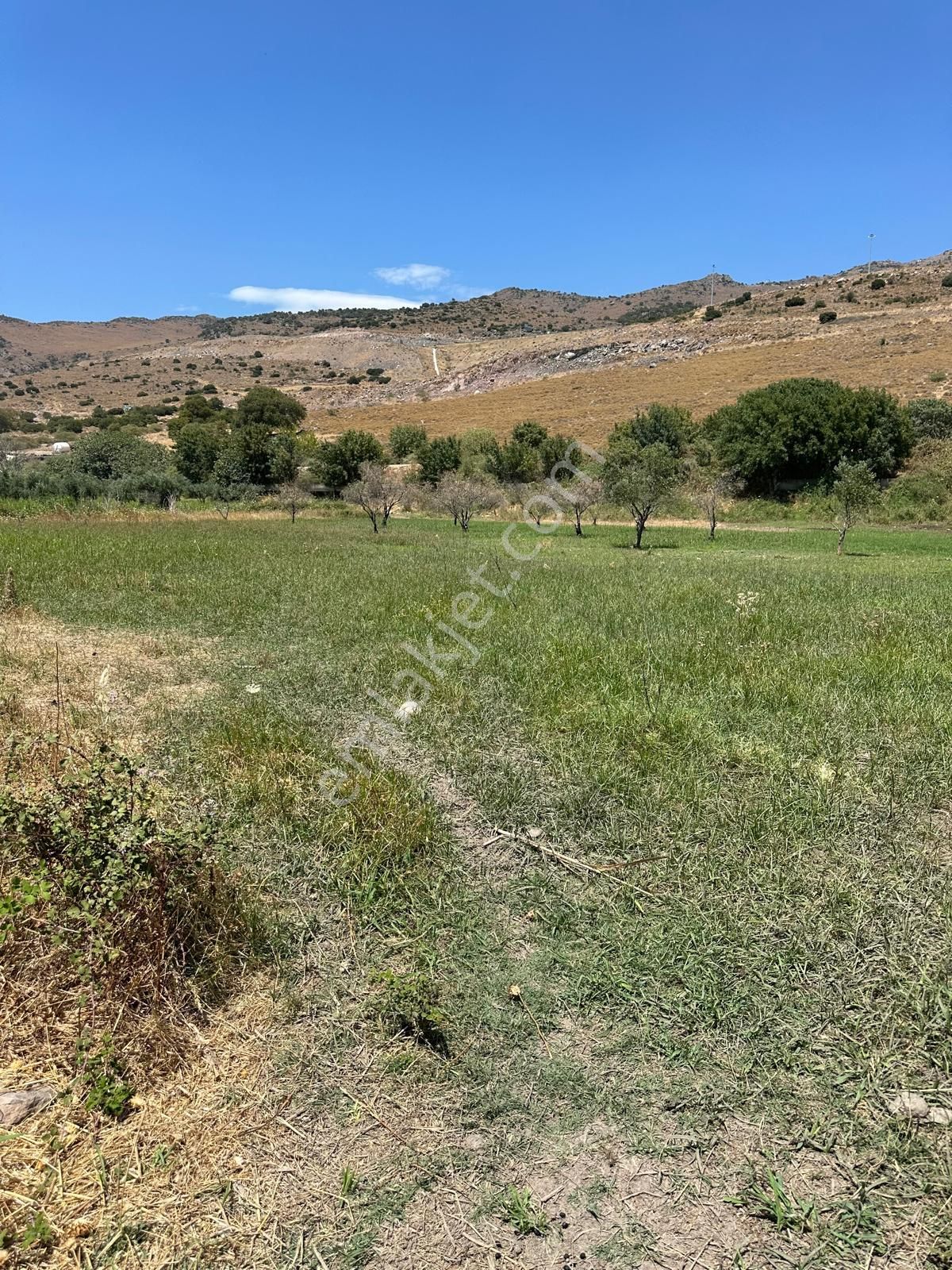 300 Dönüm Meraya Sınır Hayvancılığa Uygun - Görsel 9