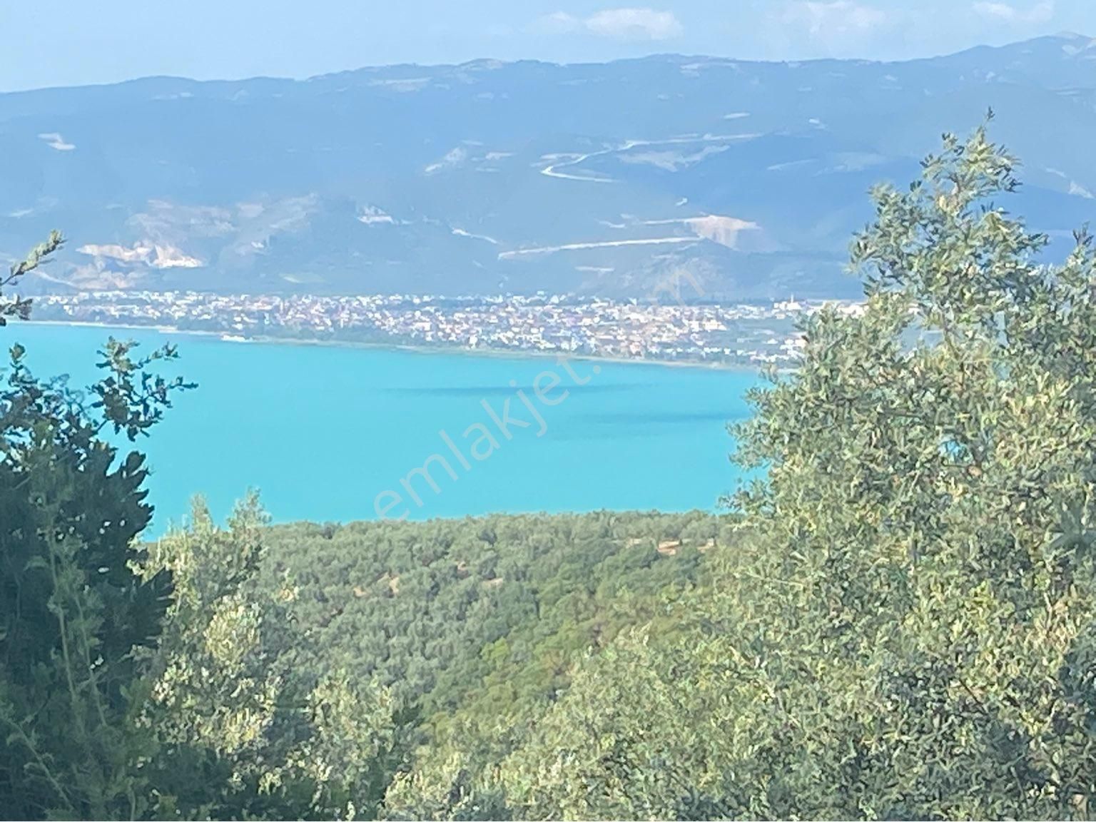 İznik Aydınlar Satılık Tarla Can Emlak Tan Aydınlarda Göl Manzaralı Zeytin Bahçesi