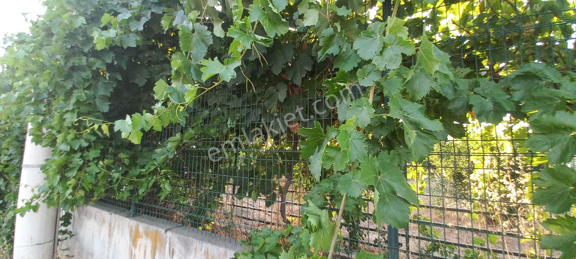 Nazilli Alkan Gayrimenkul Den Satılık Müstakil Bahçe - Görsel 2