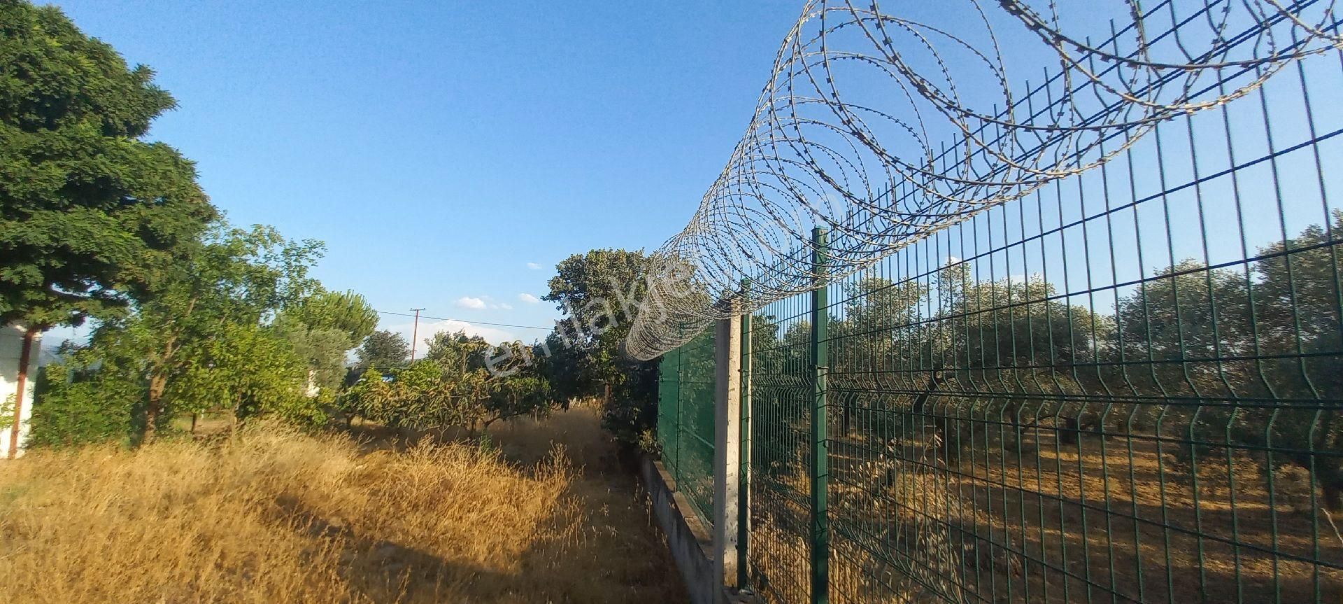 Nazilli Alkan Gayrimenkul Den Satılık Müstakil Bahçe - Görsel 14