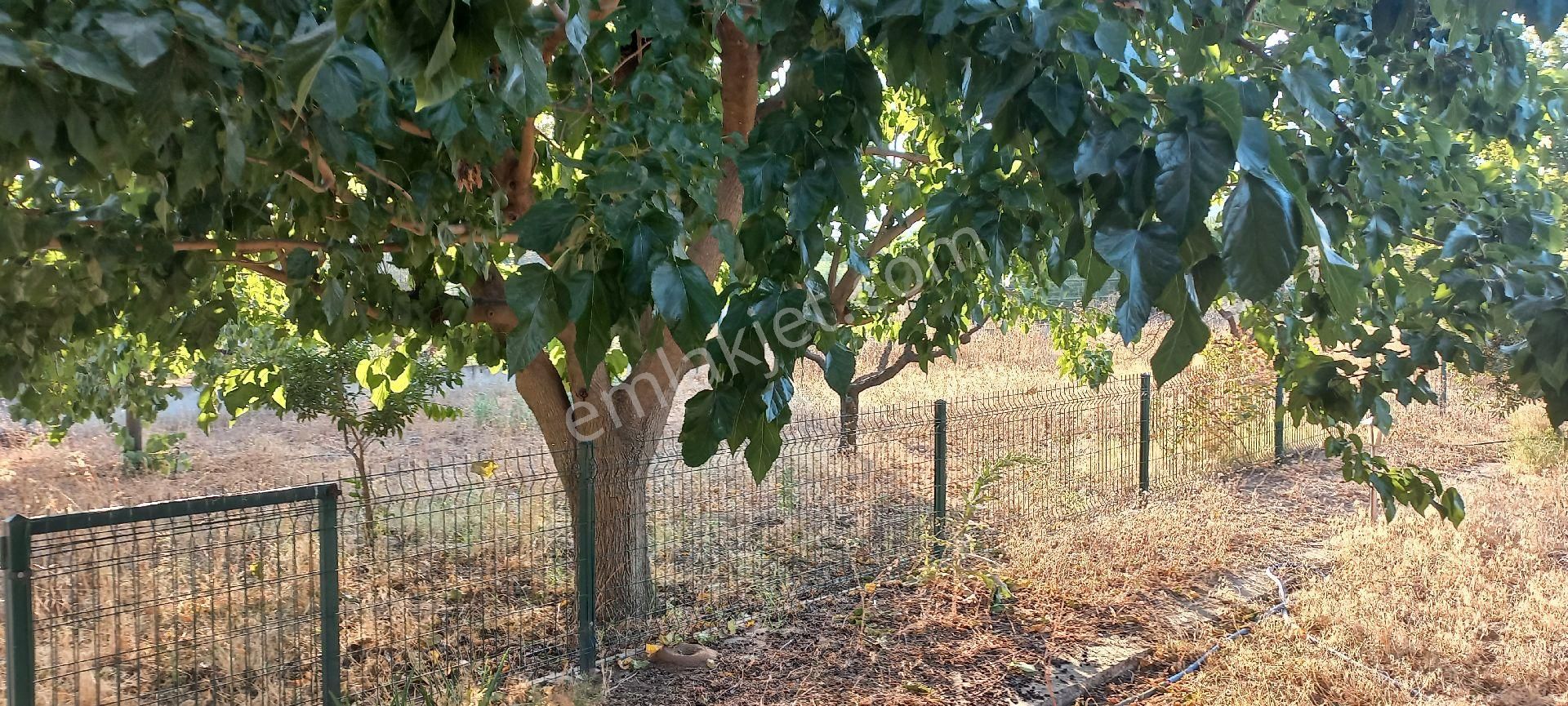 Nazilli Alkan Gayrimenkul Den Satılık Müstakil Bahçe - Görsel 24