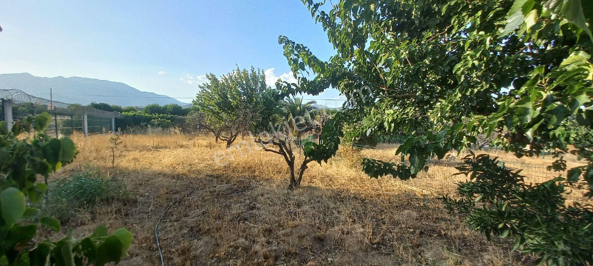 Nazilli Alkan Gayrimenkul Den Satılık Müstakil Bahçe - Görsel 15