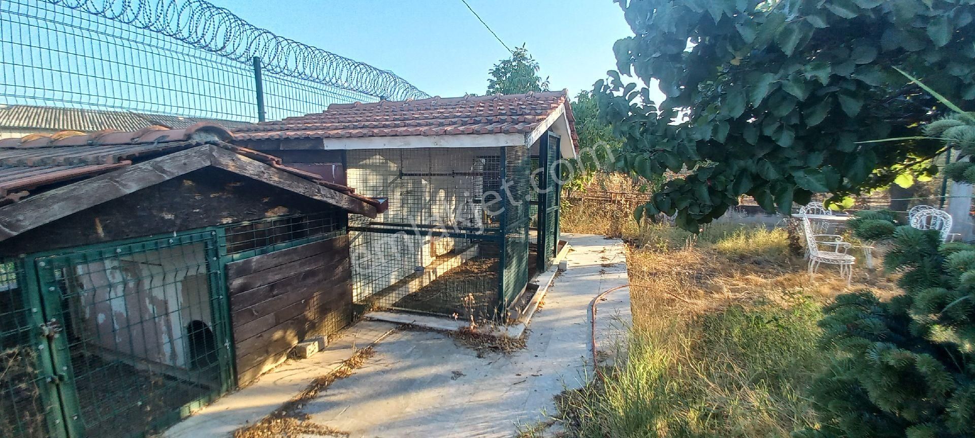 Nazilli Alkan Gayrimenkul Den Satılık Müstakil Bahçe - Görsel 11