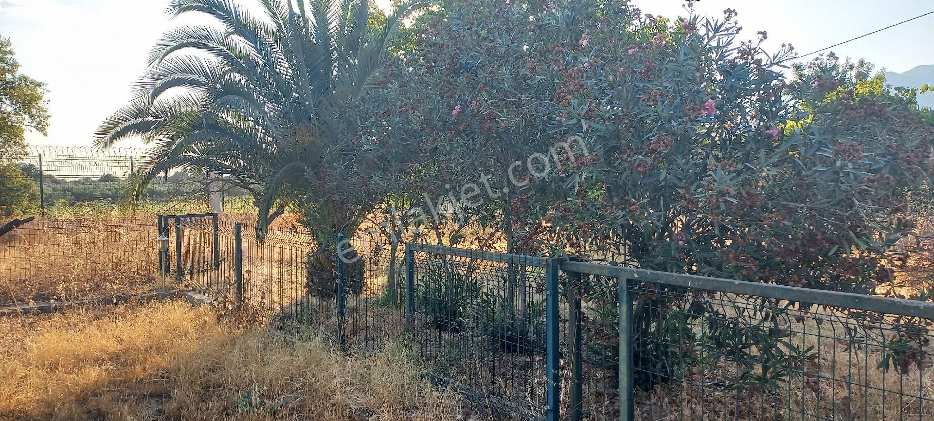 Nazilli Alkan Gayrimenkul Den Satılık Müstakil Bahçe - Görsel 20