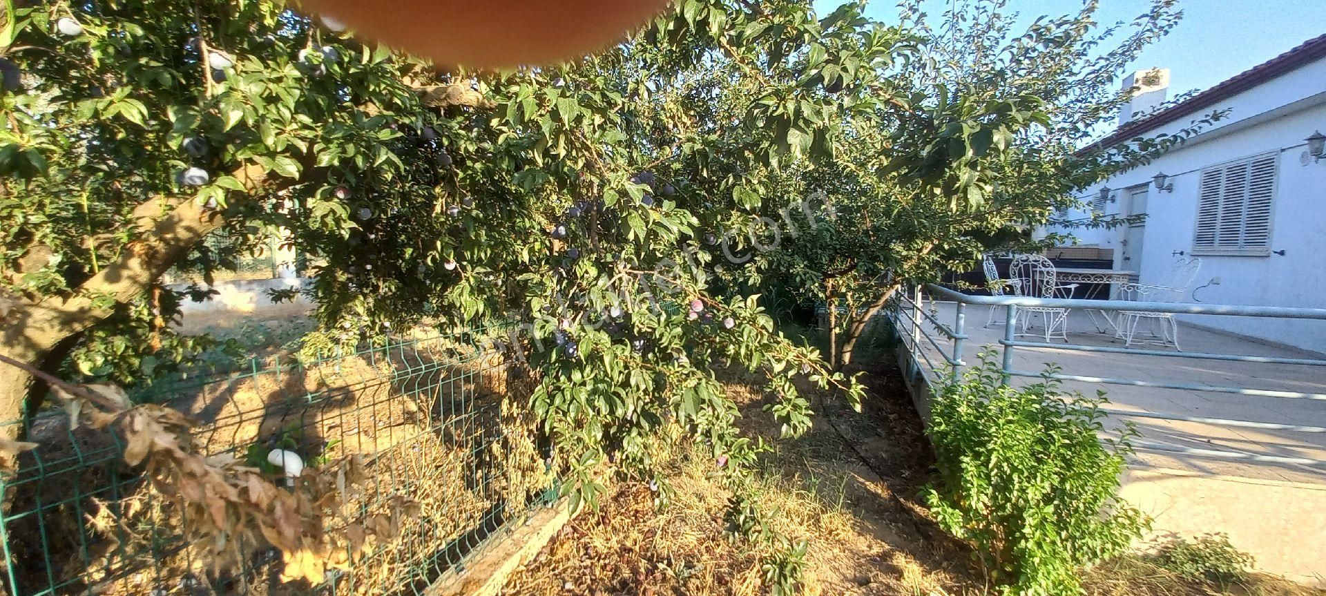 Nazilli Alkan Gayrimenkul Den Satılık Müstakil Bahçe - Görsel 6