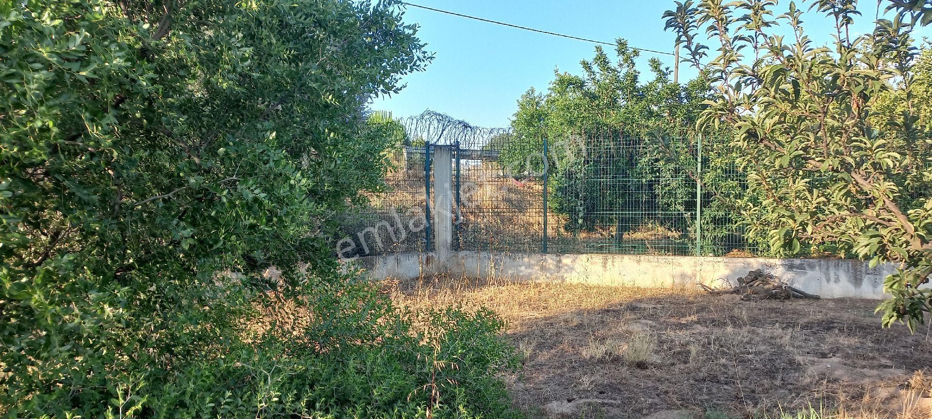 Nazilli Alkan Gayrimenkul Den Satılık Müstakil Bahçe - Görsel 19