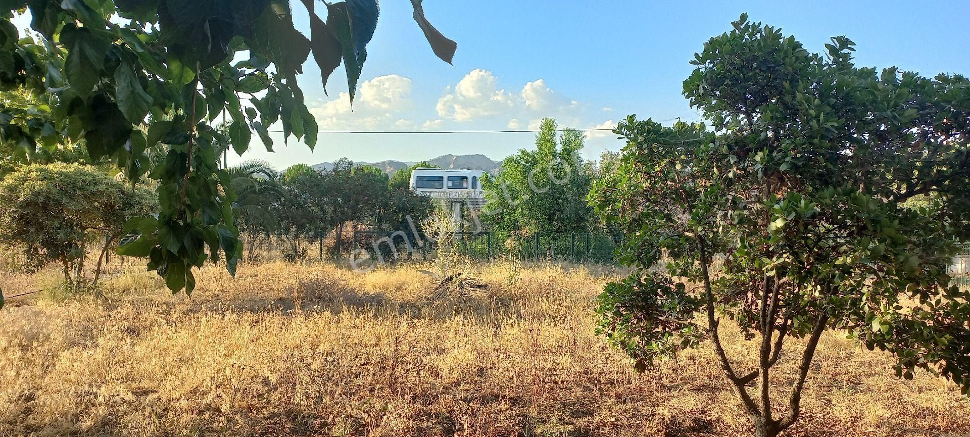 Nazilli Alkan Gayrimenkul Den Satılık Müstakil Bahçe - Görsel 23