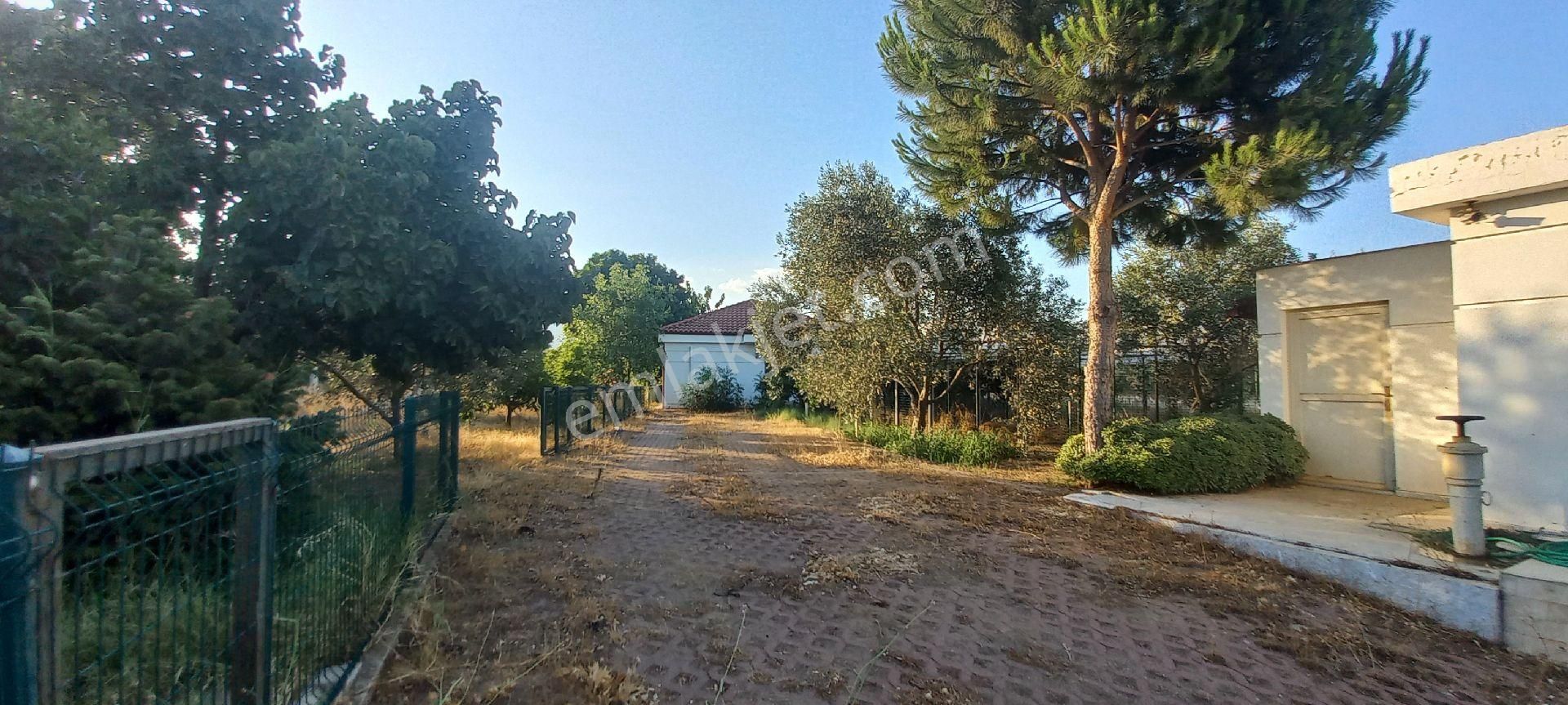 Nazilli Alkan Gayrimenkul Den Satılık Müstakil Bahçe - Görsel 3